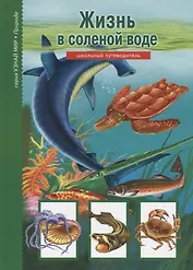 Жизнь в соленой воде: Школьный путеводитель