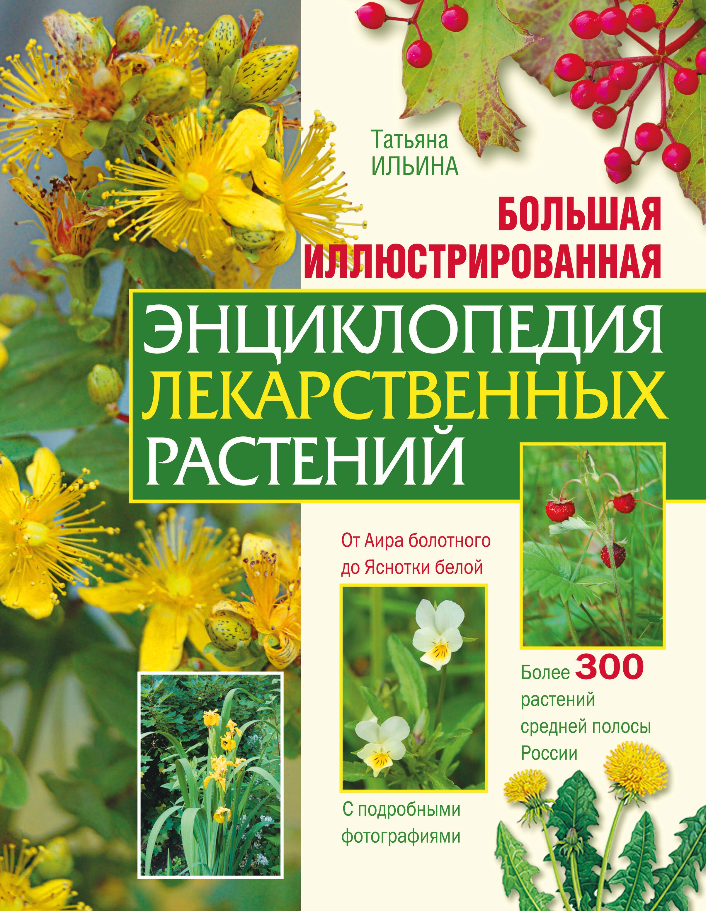 

Большая иллюстрированная энциклопедия лекарственных растений