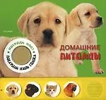 Домашние питомцы