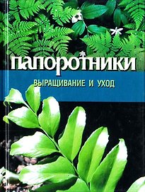 Выращ.и уход(миньон)Папоротник