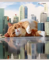 Тетрадь 48л лин. "Большие коты" мел.картон, поля, ассорти