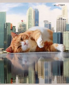Тетрадь общая «Большие коты», 48 листов в линейку, А5, в ассортименте - Listoff