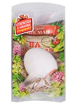Сувенир растущая травка яйцо Талисман на удачу (13 см) (1263803)