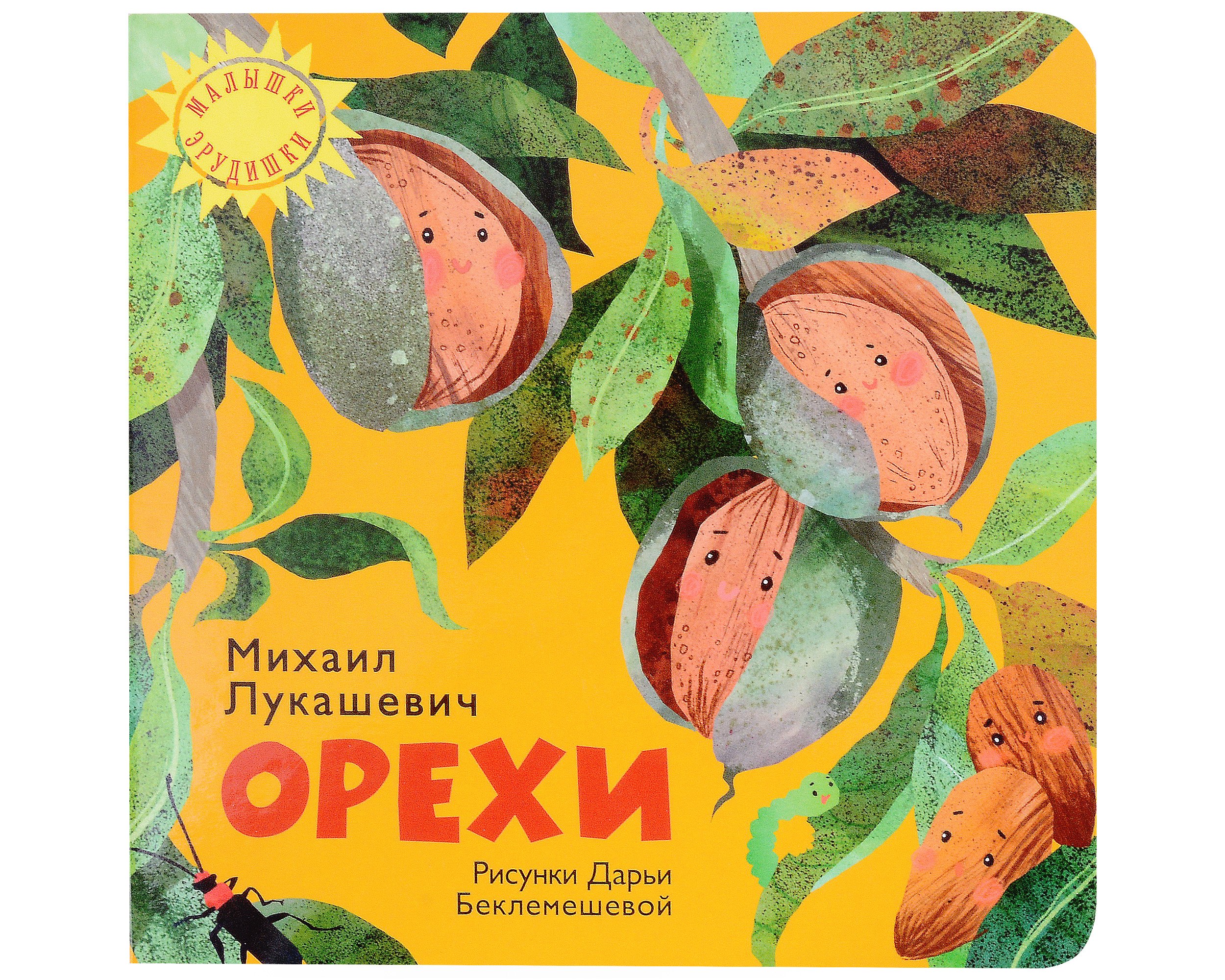 

Орехи