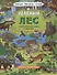 Книжка-панорамка "Зеленый лес" - 0
