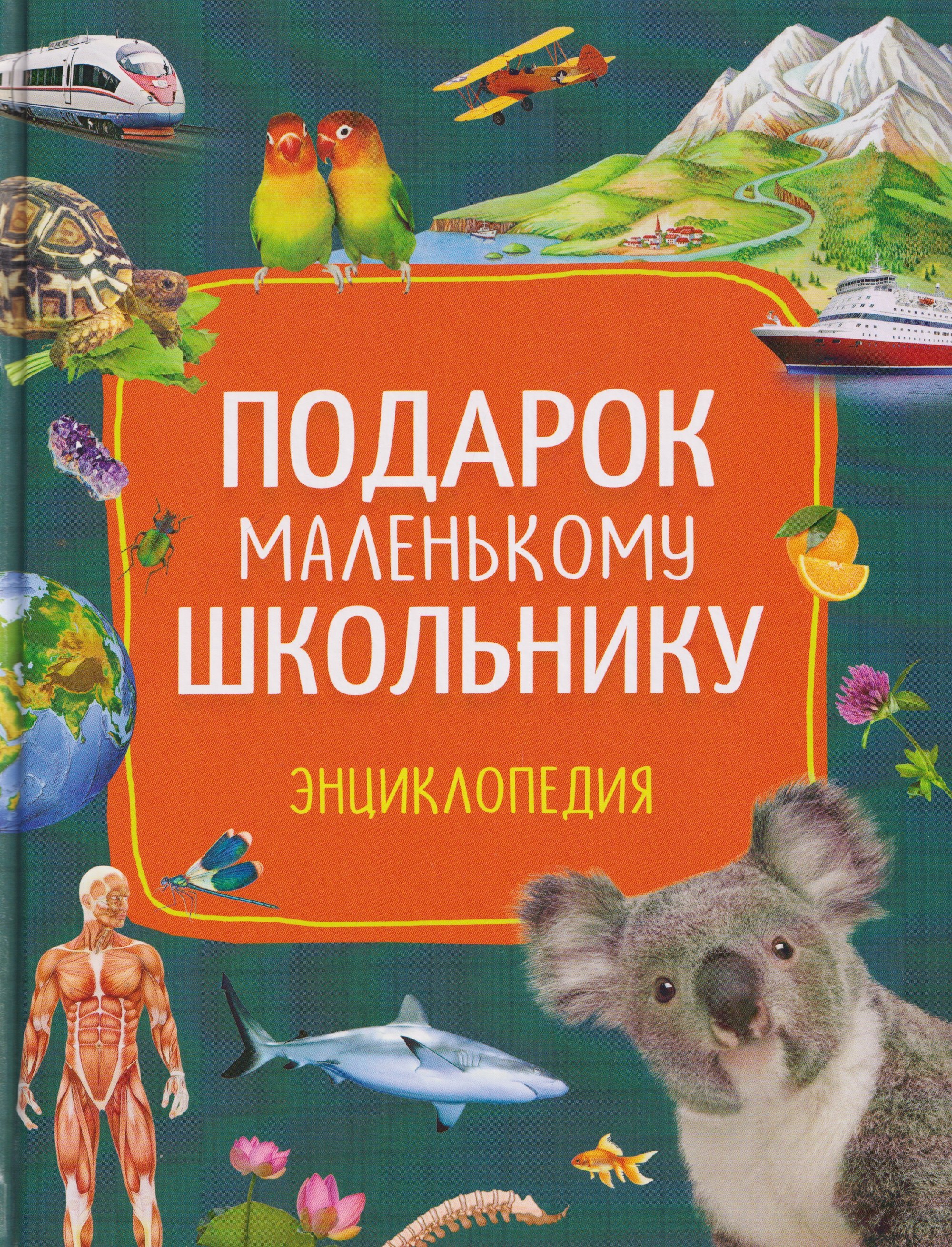 

Подарок маленькому школьнику. Энциклопедия