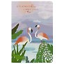 Тетрадь общая «Flamingos» в ассортименте, 38 листов в линейку, А5