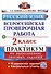 ВПР. Русский язык. 2 класс. Практикум по выполнению типовых заданий - 0