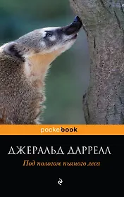 Под пологом пьяного леса