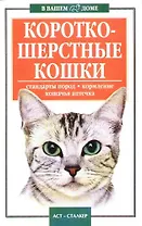 Короткошерстные кошки. Стандарты пород. Кормление. Кошачья аптечка