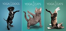 Тетрадь А4 96л кл. "Yoga Animals" полн.УФлак, ассорти, Академия Групп