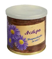 Мини - цветок в банке Астра  (411029)