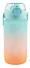 Бутылка Шкала градиент (пастель) (пластик) (600мл) (12-7664-BT6) - 1