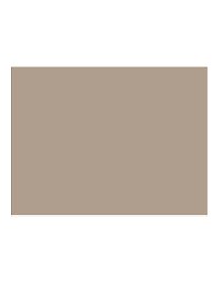 Бумага для пастели 50*65 "Mi-Teintes" 160г/м2 №340 конопляный, Canson