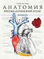 Анатомия