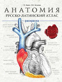 Анатомия
