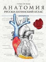 Анатомия