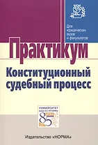 Конституционный судебный процесс