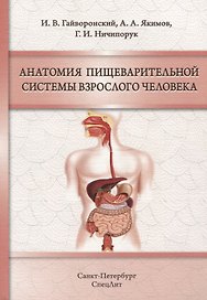 Анатомия пищеварительной системы взрослого человека