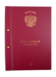 Папка для курсовой работы, 2 отверстия, бордо, ПаркКом