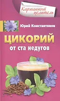 Цикорий от ста недугов