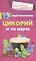 Цикорий от ста недугов - 0