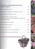 Садовые растения от А до Я - 2