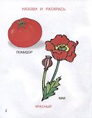 Какие цвета я знаю - 2