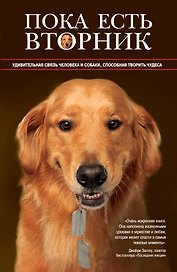 Пока есть Вторник. Удивительная связь человека и собаки, способная творить чудеса