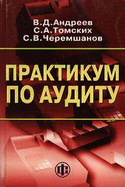 Практикум по аудиту: 2-е издание