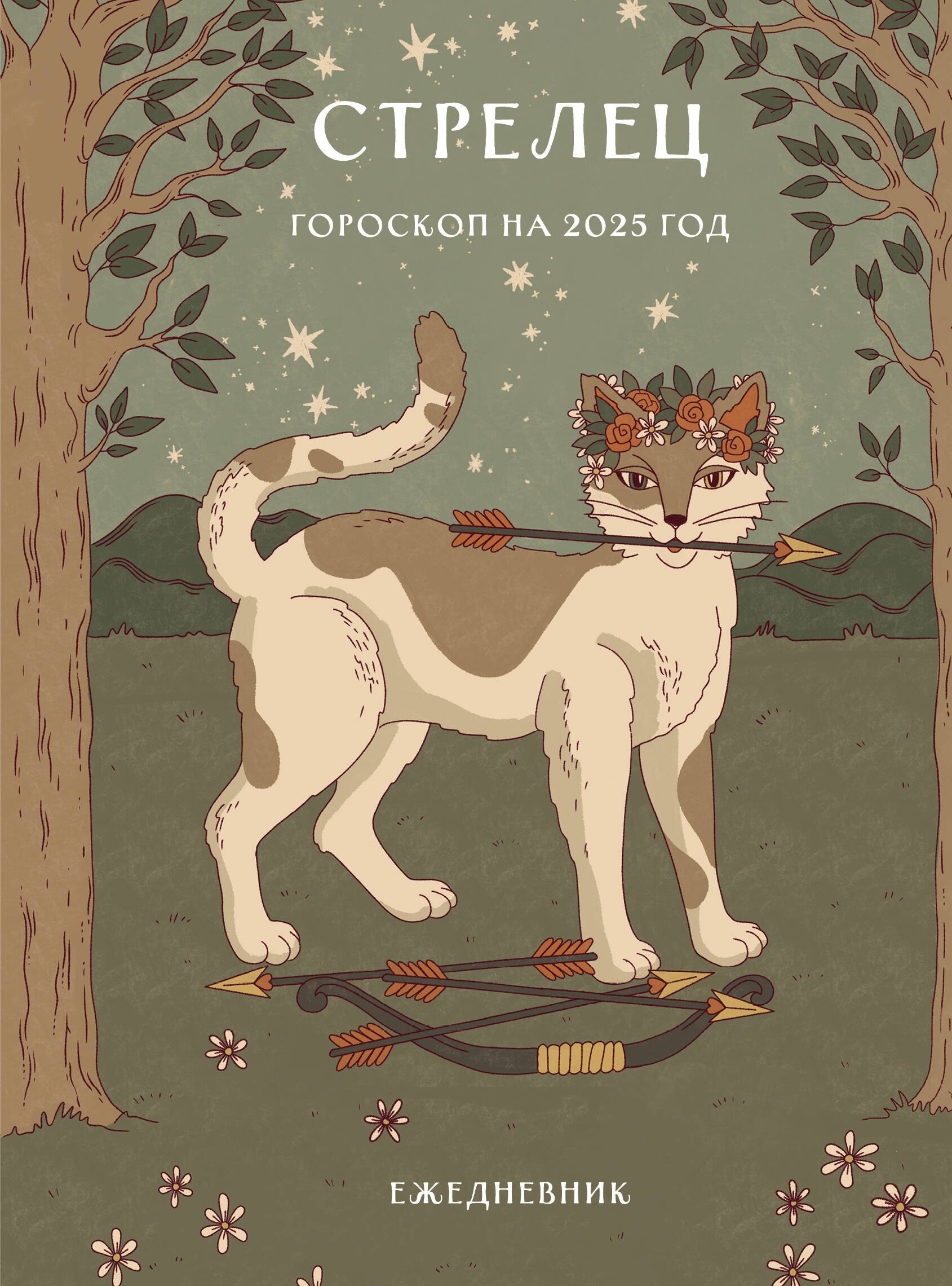 

Гороскоп на 2025 год. Стрелец. Ежедневник