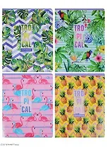 Тетрадь в клетку BG, "Тропики", 48 листов, в ассортименте