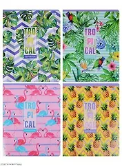 Тетрадь в клетку BG, "Тропики", 48 листов, в ассортименте