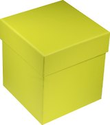 Коробка подарочная "Неон зеленая" 12*12*13см