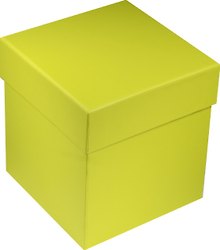 Коробка подарочная "Неон зеленая" 12*12*13см