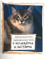 Задушевные разговоры с кошками и котами. Диалоги кошачьей мудрости