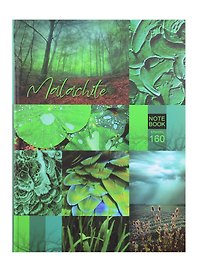 Книга для записей «Mood Color», А4, 160 листов, твердая обложка, BG