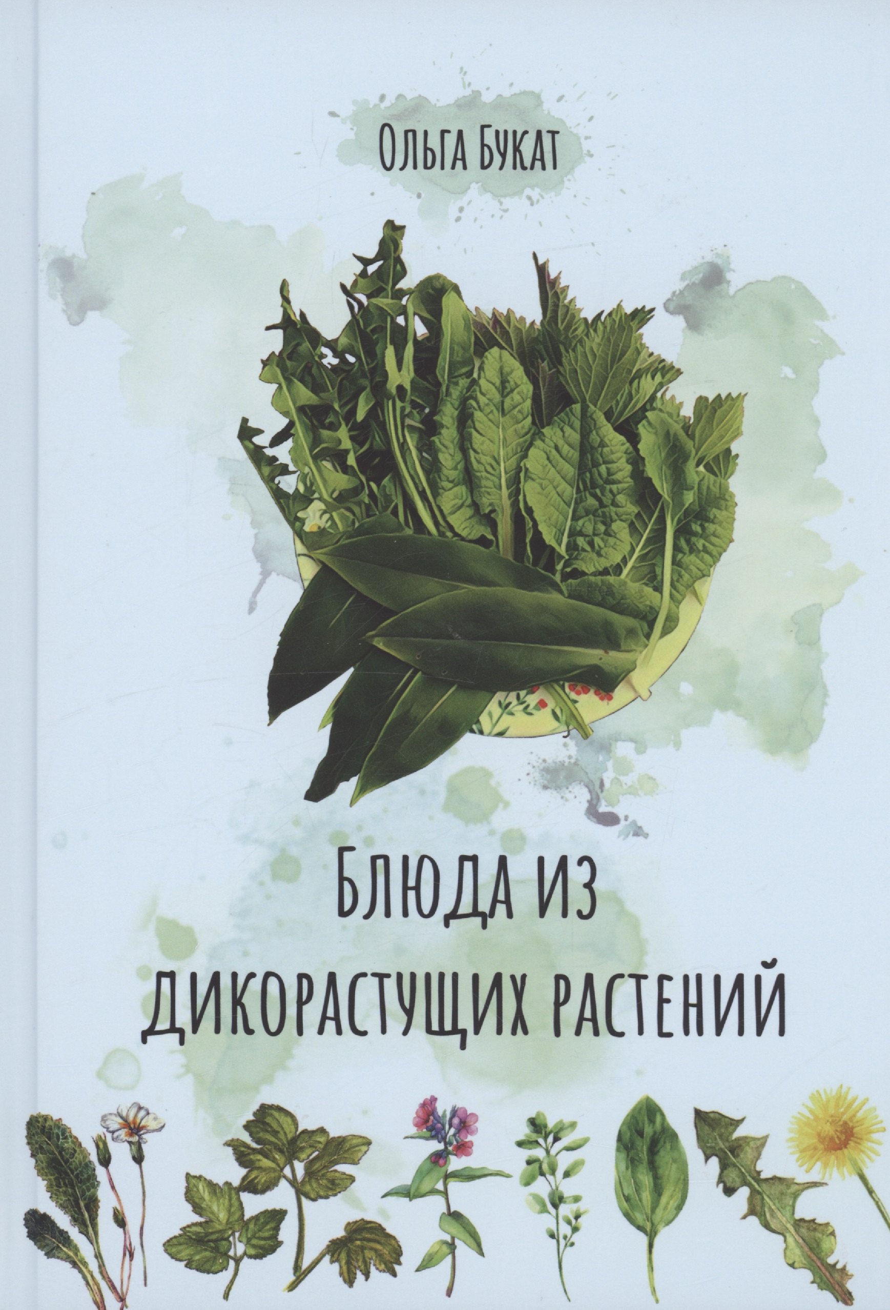 

Блюда из дикорастущих растений