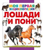 Лошади и пони