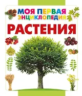 Растения
