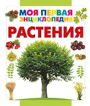 Растения