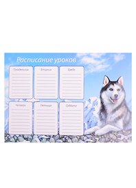 Расписание уроков «Хаски», А4, мелованный картон, Феникс+ в ассортименте