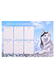 Расписание уроков А4 "ХАСКИ"