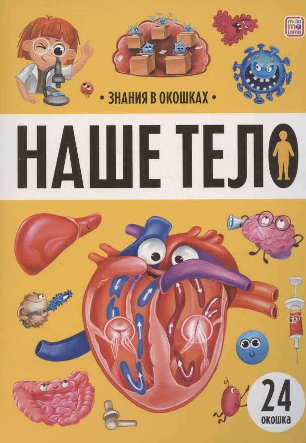 

Знания в окошках. Наше тело