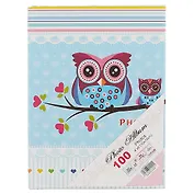 Фотоальбом Сова (10х15) (100 фото) (тв.обл.) (12-21358-6131)