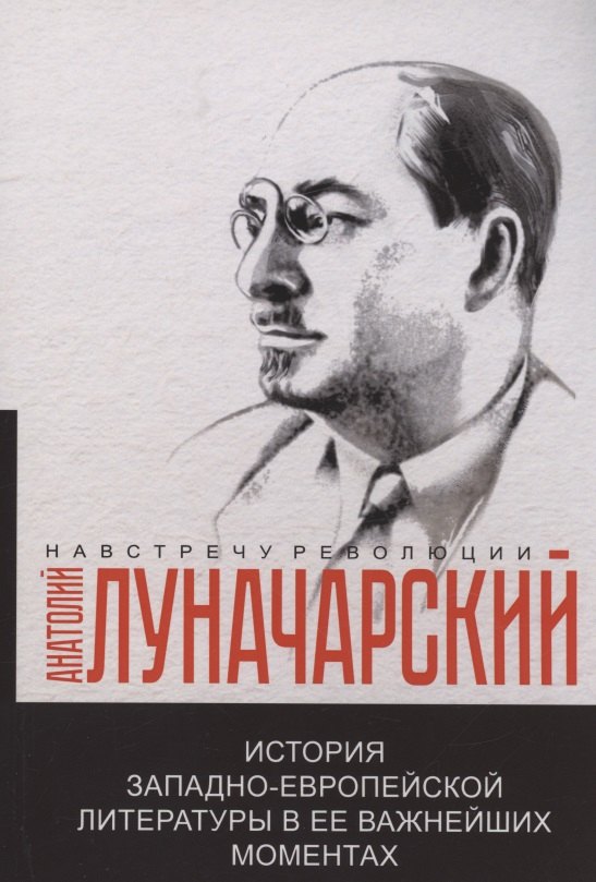 

История западно-европейской литературы в ее важнейших моментах