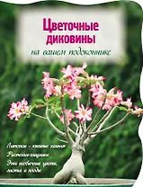 Цветочные диковины на вашем подоконнике