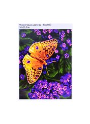 Кпн-020 Картина по номерам Фиолетовые цветочки (ПочСебяХуд) (38х28,5 см) (коробка) (LORI)