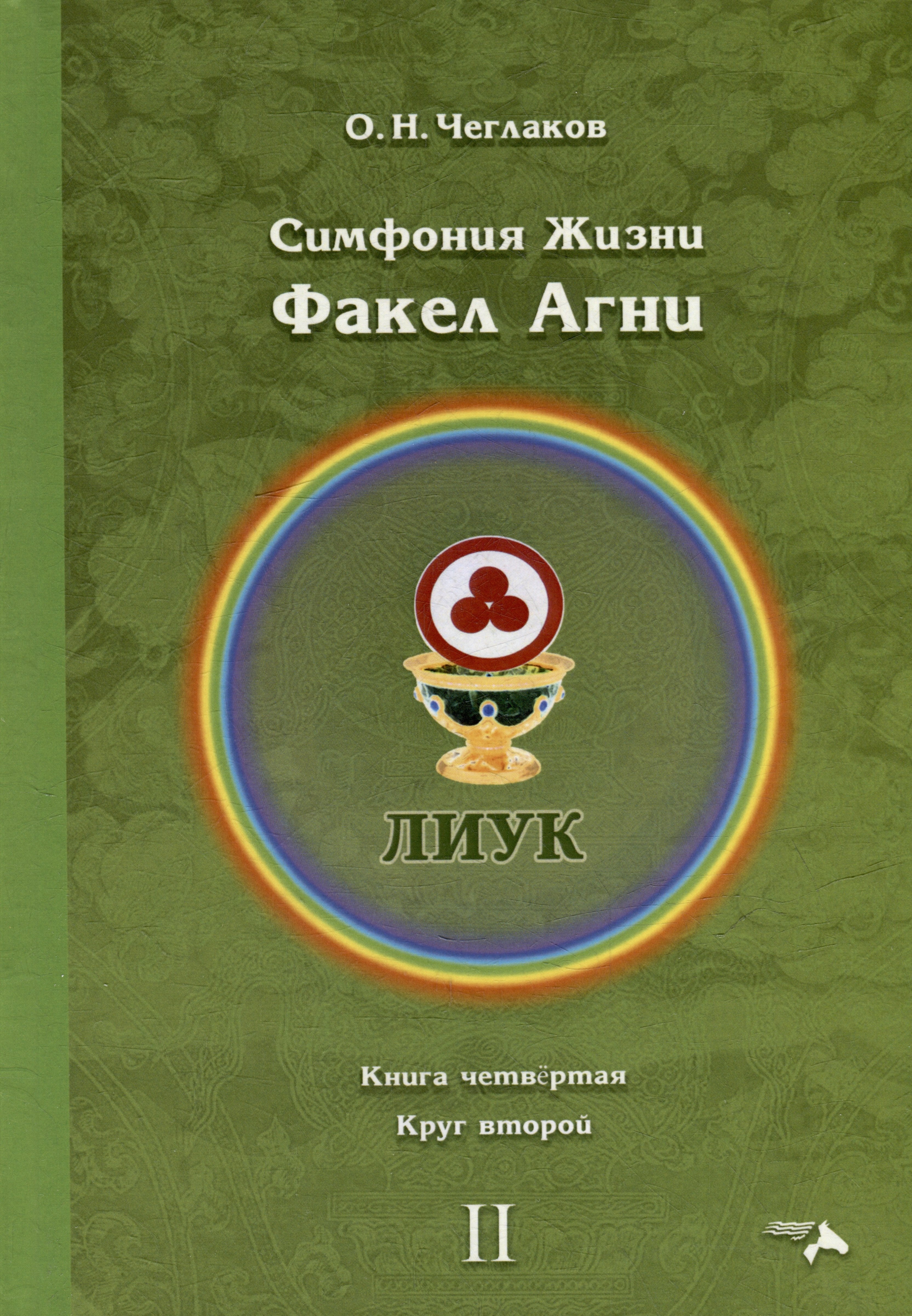 

Симфония жизни. Факел Агни. Книга четвертая. Круг второй