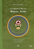 Симфония жизни. Факел Агни. Книга четвертая. Круг второй